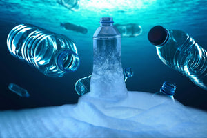Vivo Ocean Free Sample